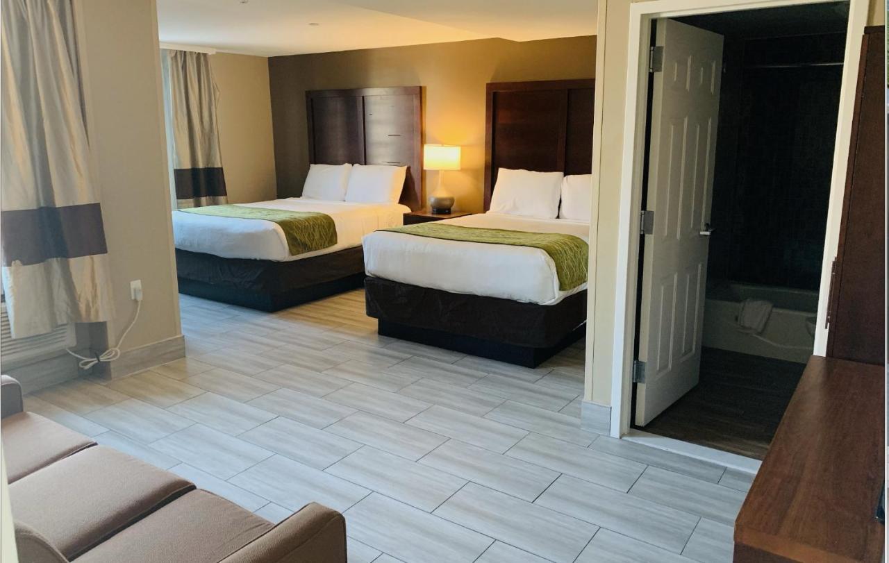 Suite con 2 camas grandes - No fumadores