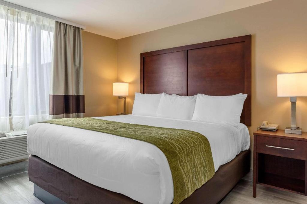 Habitación con cama extragrande y vistas a la ciudad